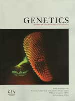 Newfeld Genetics cover