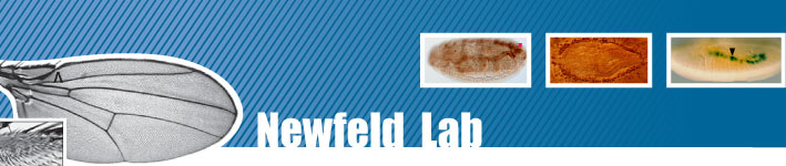 Newfeld Lab